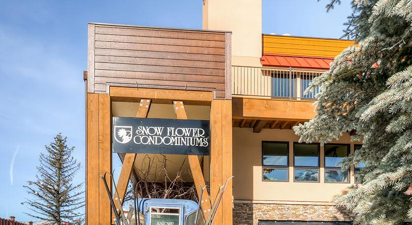 Snow Flower at Steamboat Gondola