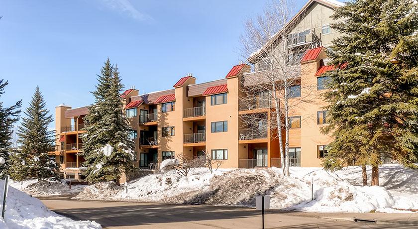 Snow Flower at Steamboat Gondola