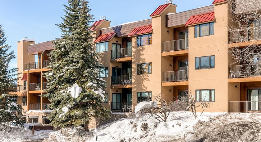 Snow Flower at Steamboat Gondola
