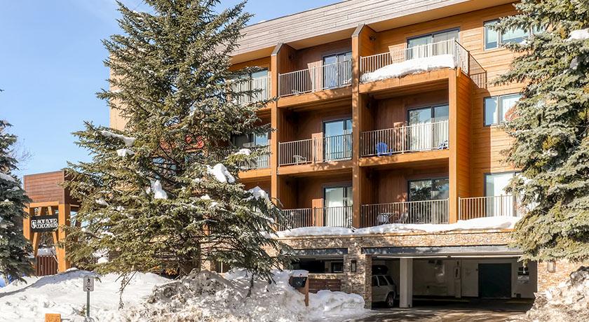 Snow Flower at Steamboat Gondola