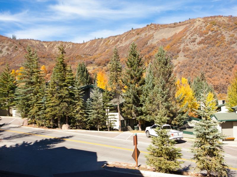 Lichenhearth Townhomes by Snowmass Vacations 