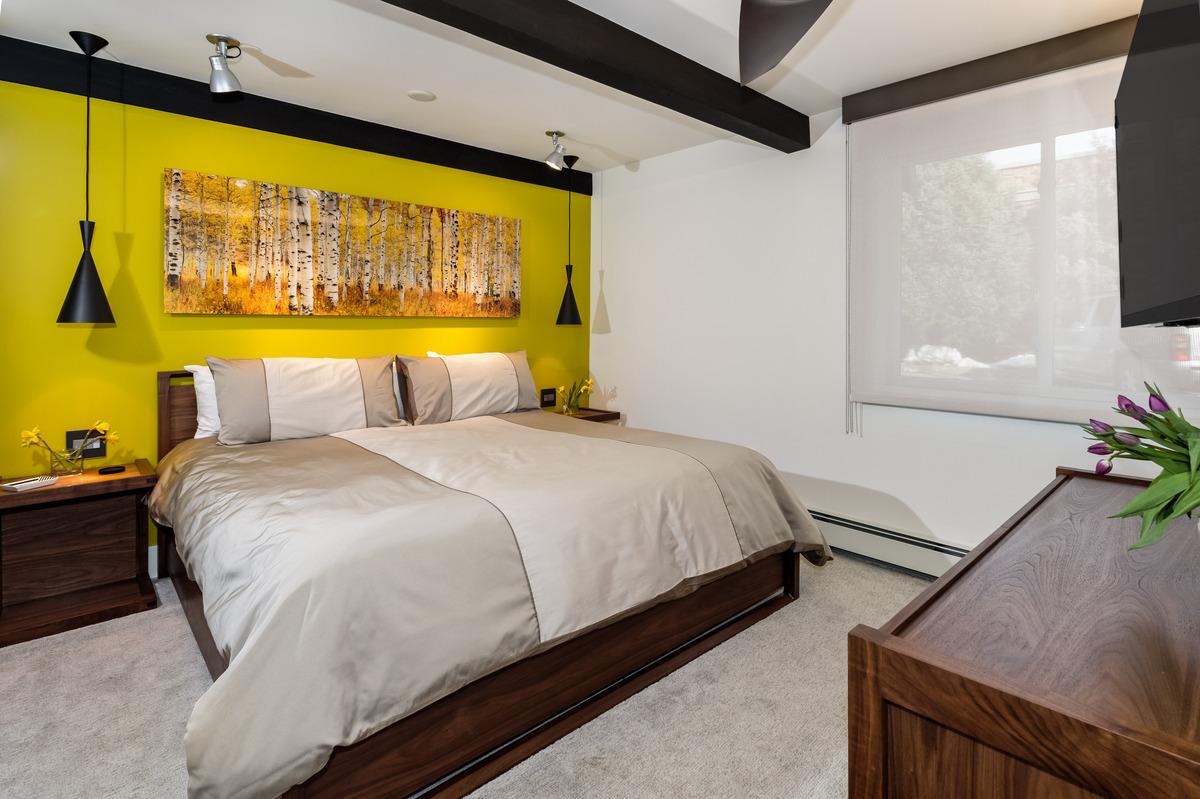 Aspen Alps - Premier