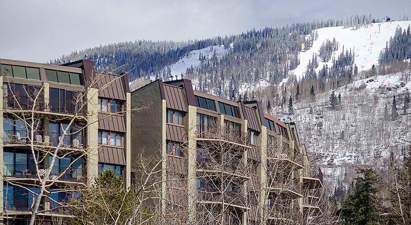 Bronze Tree Condominiums