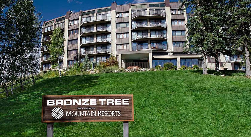 Bronze Tree Condominiums